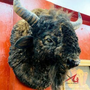 Bison Head Sculpture