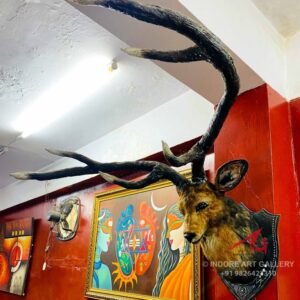 Deer Head Sculpture made by Indore Art Gallery